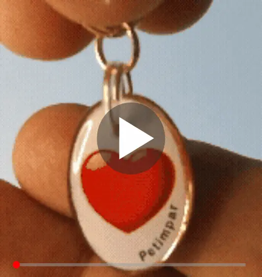 imagem de detalhe do produto