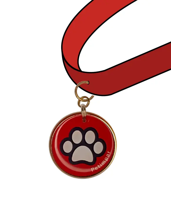 Imagem de medalha adaptada no passante