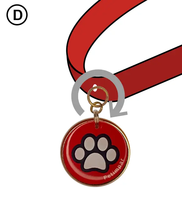 Imagem de como colocar a medalha no passante