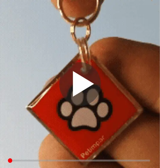 imagem de detalhe do produto
