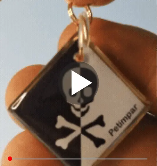 imagem de detalhe do produto